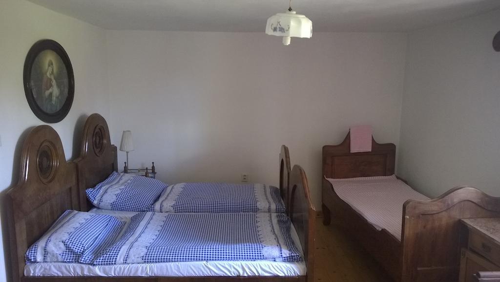 Ubytovani U Giordanu Slavonice Ruang foto